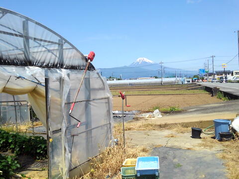 畑付近から撮った富士山